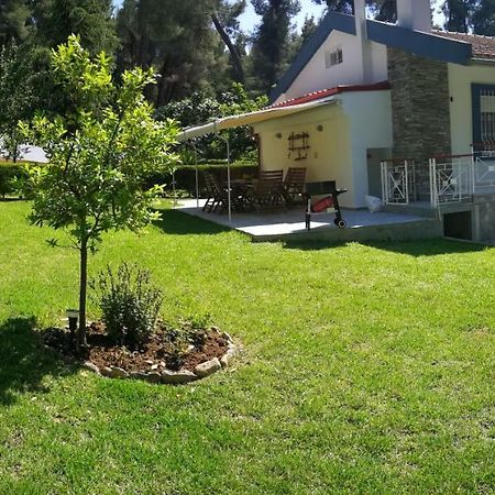 סאני ביץ' Nirvana House מראה חיצוני תמונה